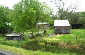 Barns-in-Lexington